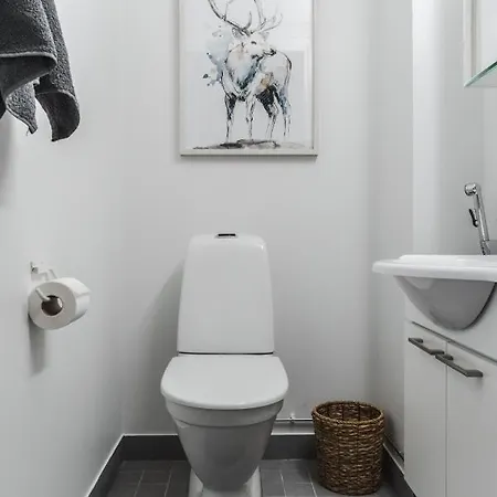 In Lapland - Sointuilevi B62 * Levi