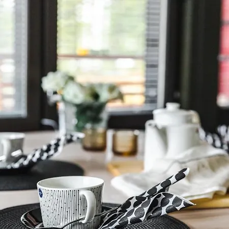 In Lapland - Sointuilevi B62