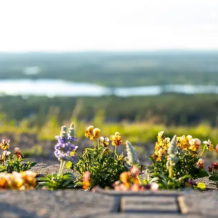 In Lapland - Sointuilevi B62 * ليفي