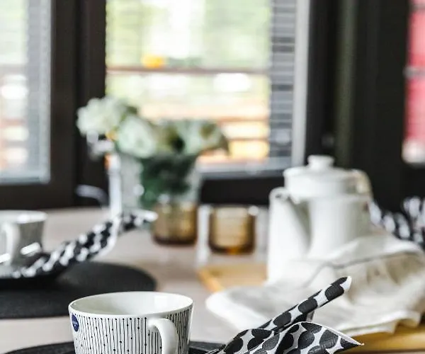 In Lapland - Sointuilevi B62