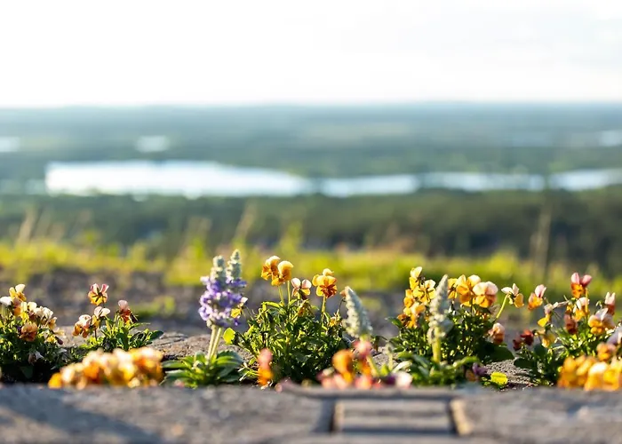 In Lapland - Sointuilevi B62 * Levi